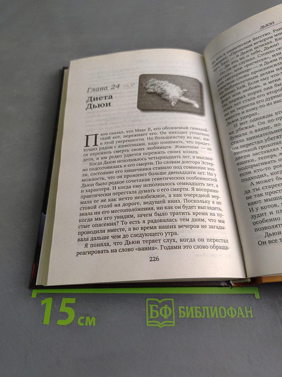 Дьюи. Кот из библиотеки, который потряс весь мир