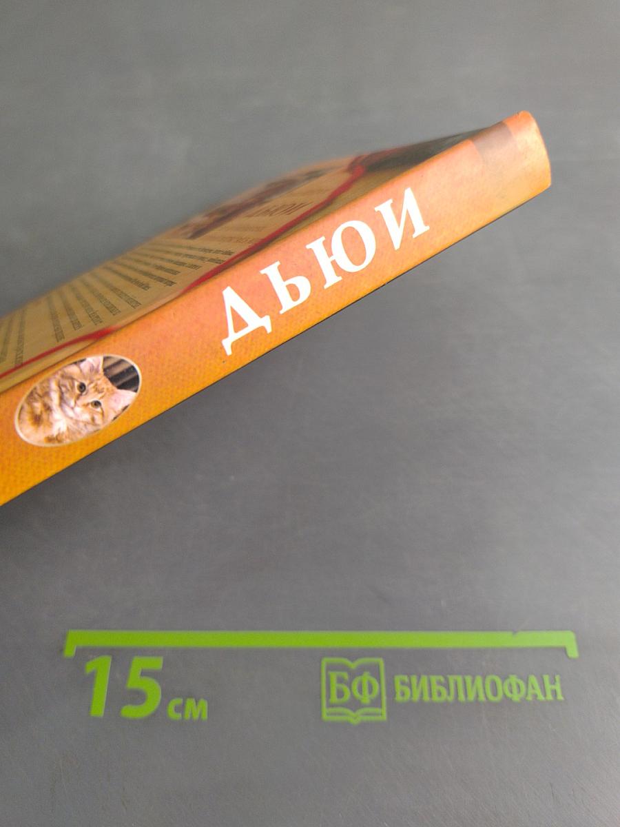 Дьюи. Кот из библиотеки, который потряс весь мир