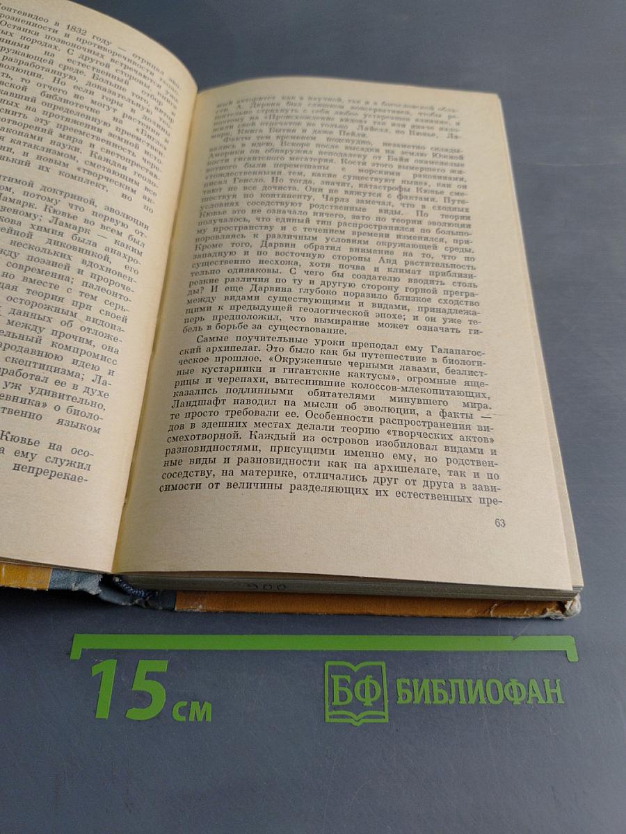 Обезьяны, ангелы и викторианцы. Дарвин, Гексли и эволюция