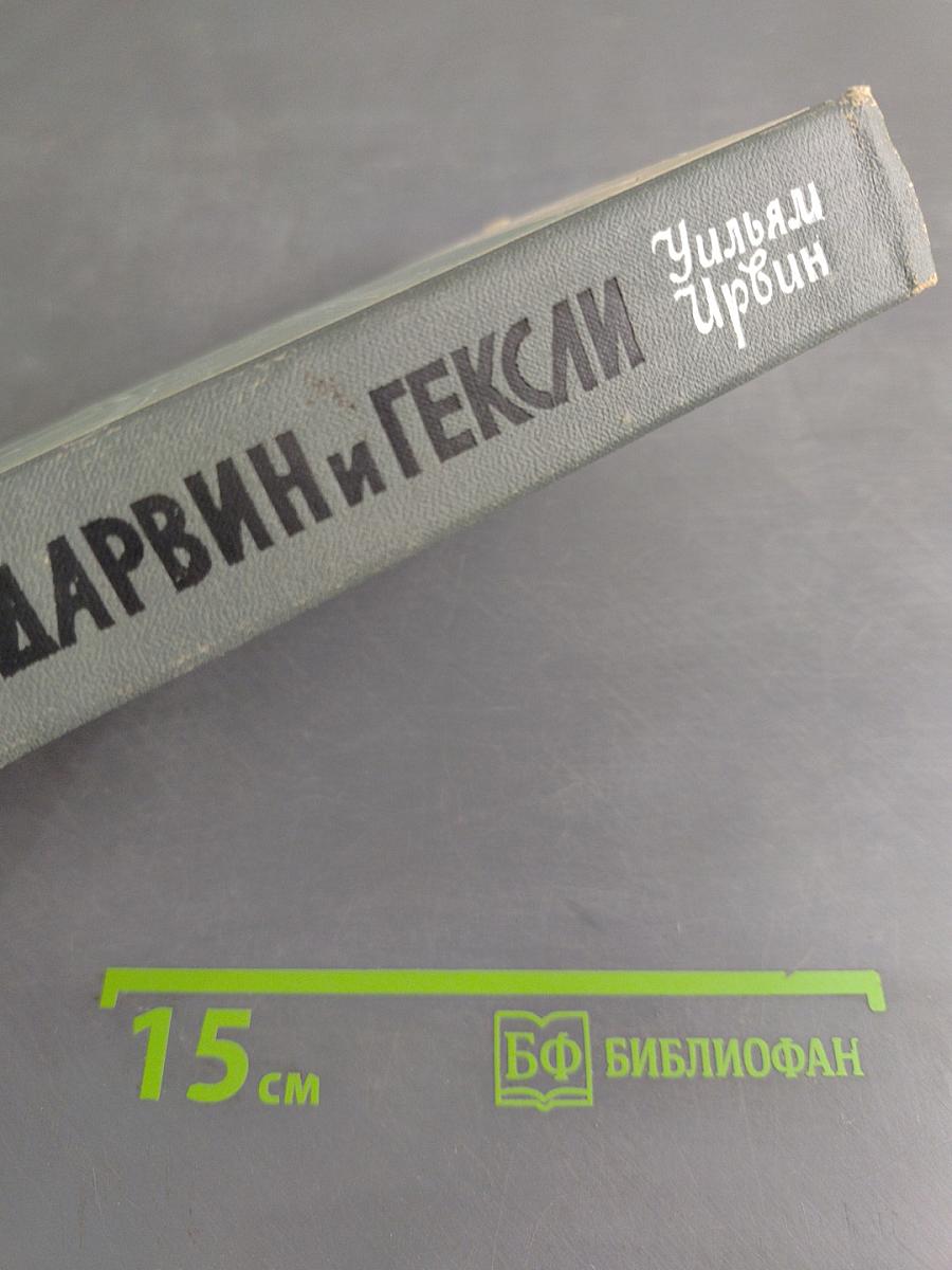 Обезьяны, ангелы и викторианцы. Дарвин, Гексли и эволюция