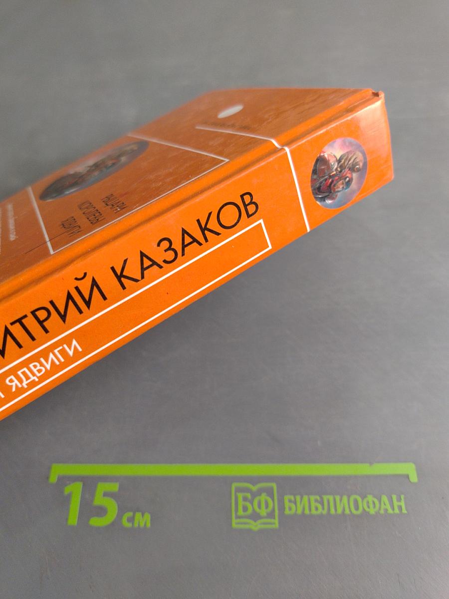 Рыцари Королевы Ядвиги