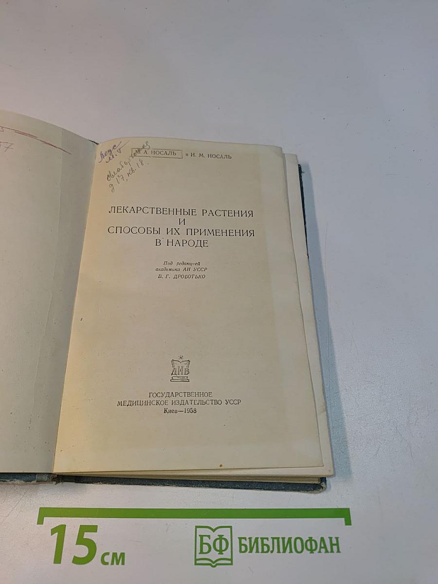 Лекарственные растения и способы их применения в народе