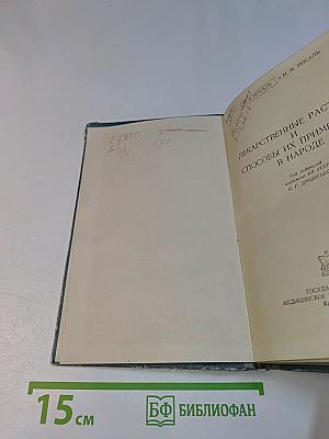 Лекарственные растения и способы их применения в народе