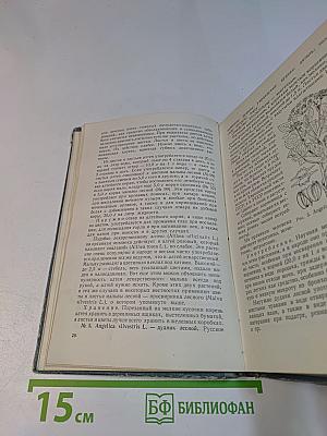 Лекарственные растения и способы их применения в народе