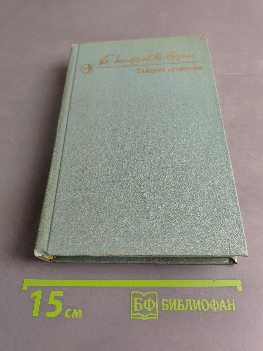 Тайный советник. Книга вторая