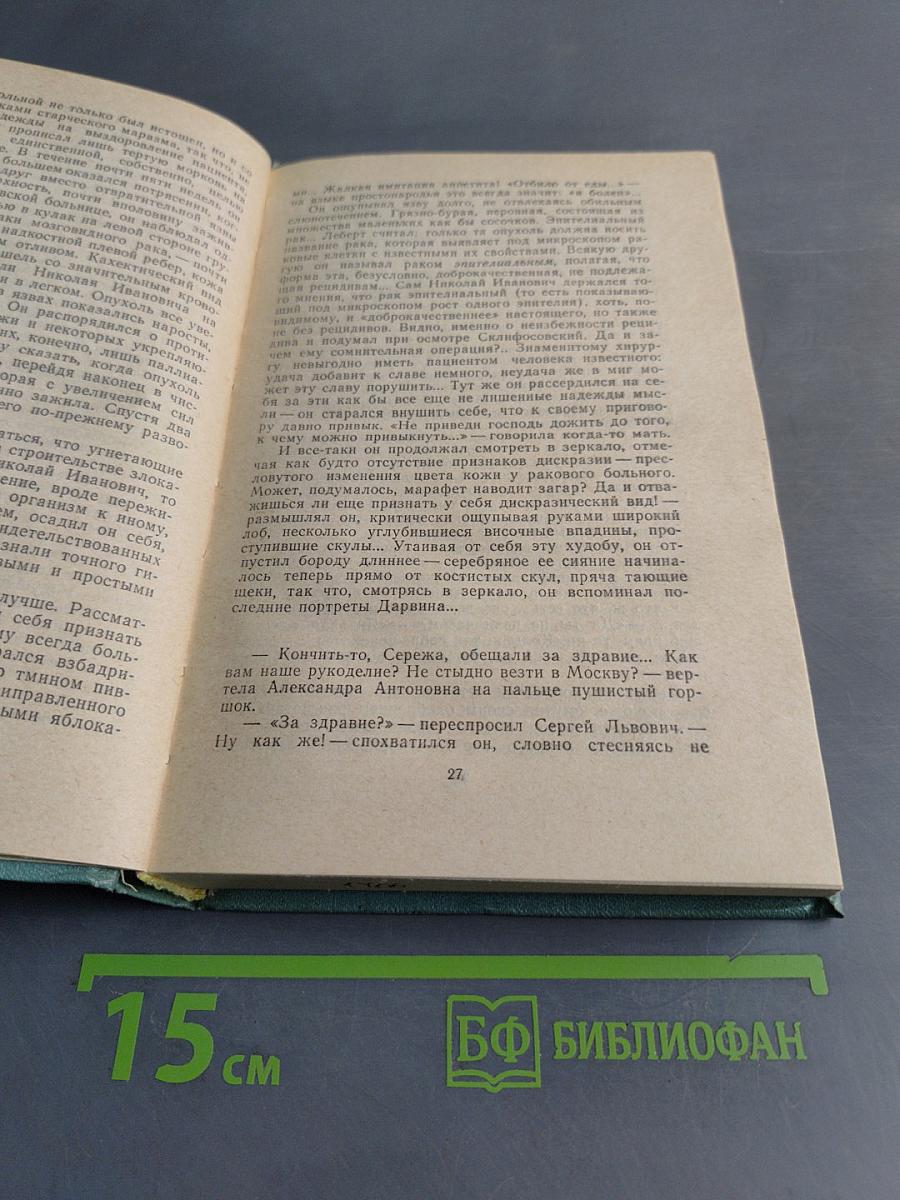 Тайный советник. Книга вторая