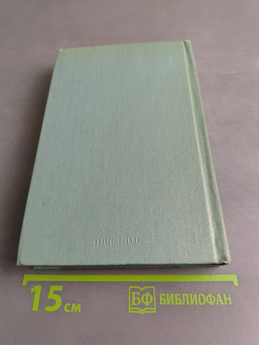 Тайный советник. Книга вторая