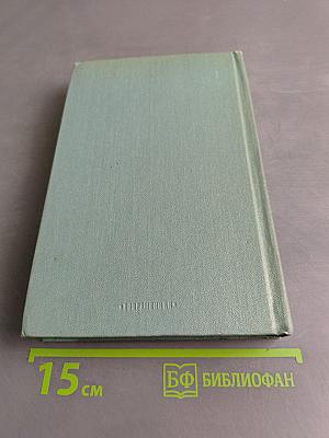 Тайный советник. Книга вторая