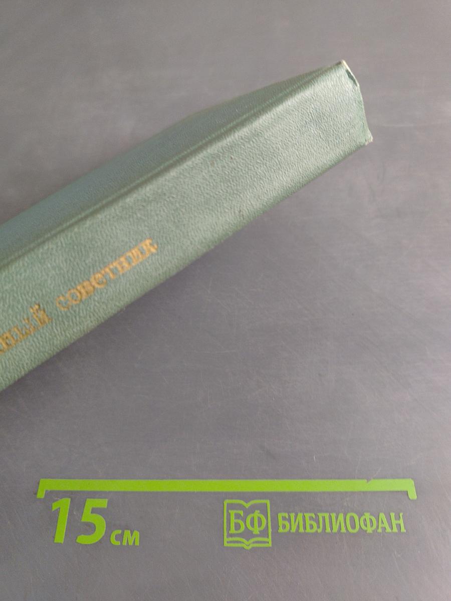 Тайный советник. Книга вторая