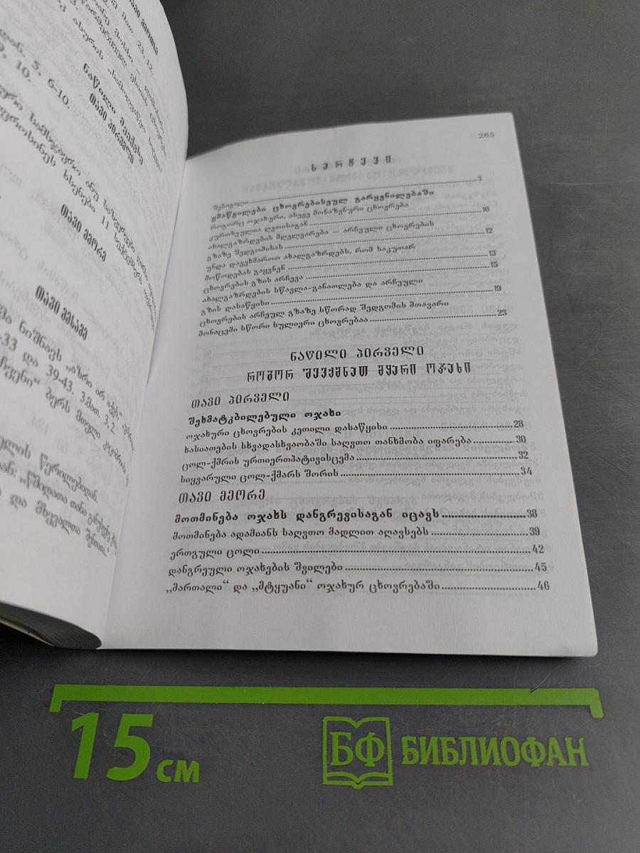 მამა ილია