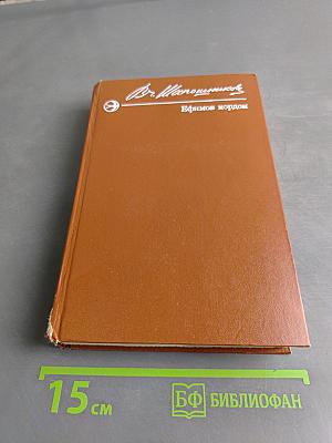 Ефимов кордон