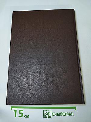 Царица Прасковья. 1664—1723: Очерк из русской истории XVIII века
