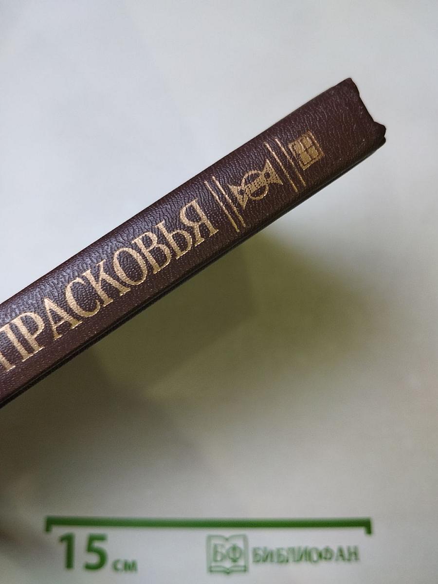 Царица Прасковья. 1664—1723: Очерк из русской истории XVIII века