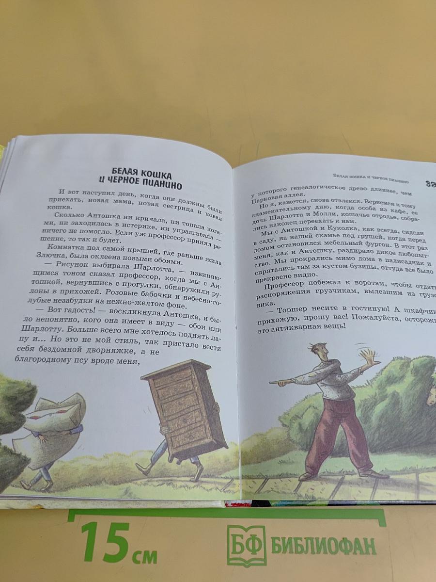 Мопс и Молли Мендельсон