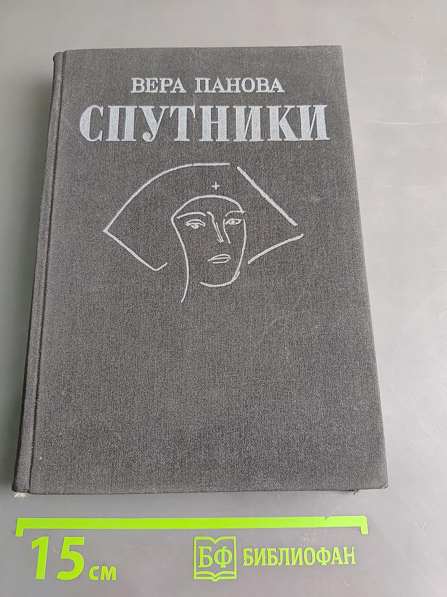 Спутники