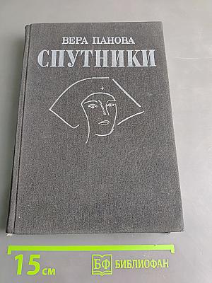 Спутники