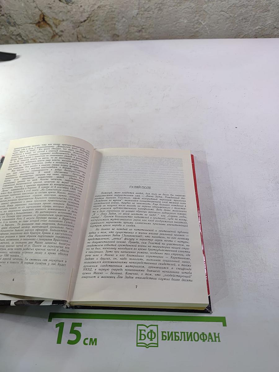 Лев Задов. Смерть от бескорыстия