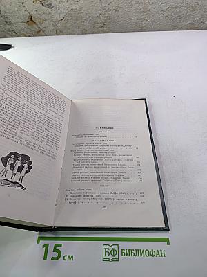 Лунный камень