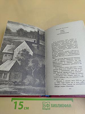 Штрихи к портрету