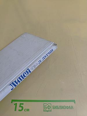 Лицей