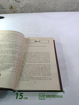 Четыре века