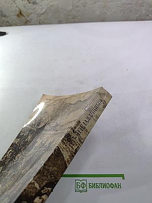 Последний Новик