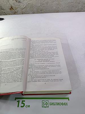 Сердце Бонивура