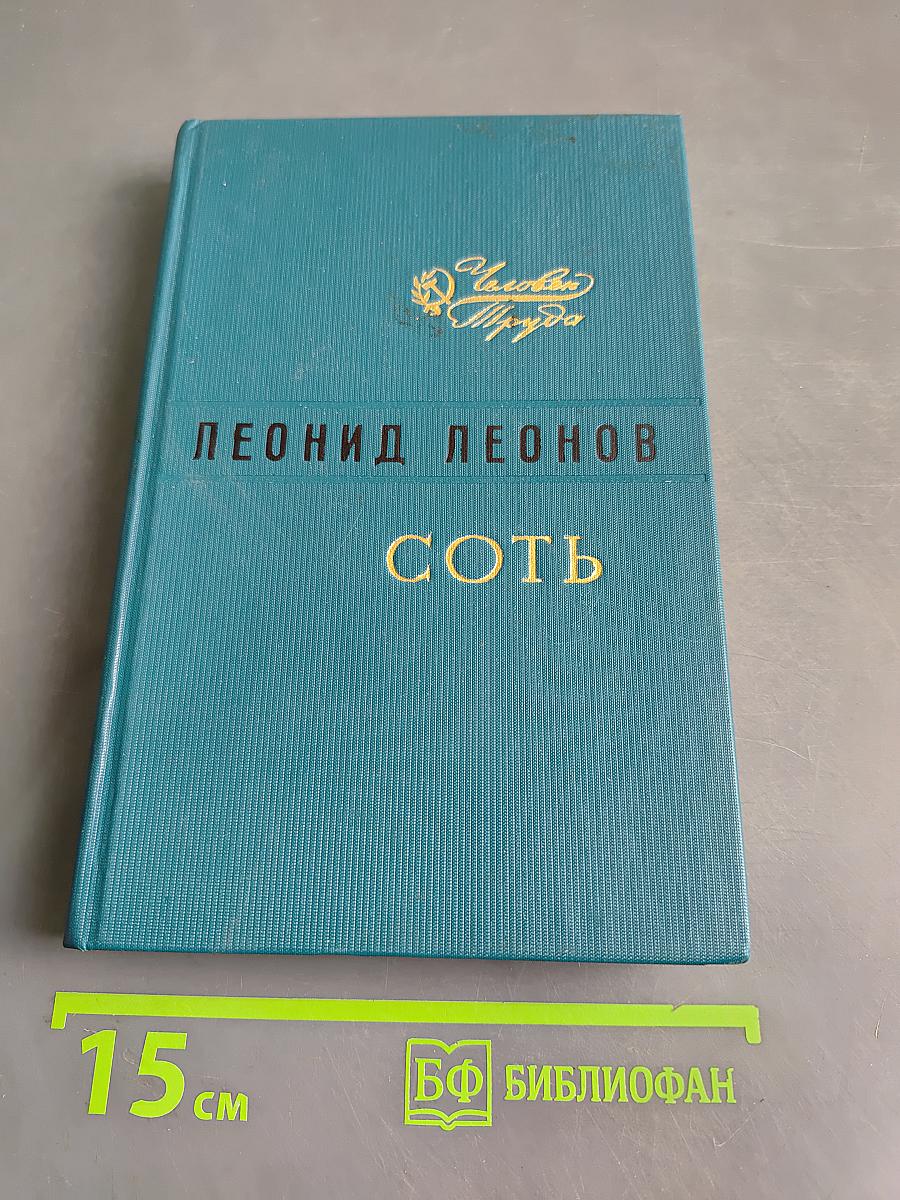 Соть