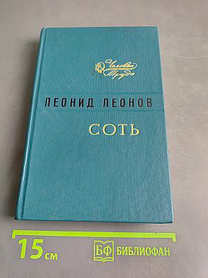 Соть