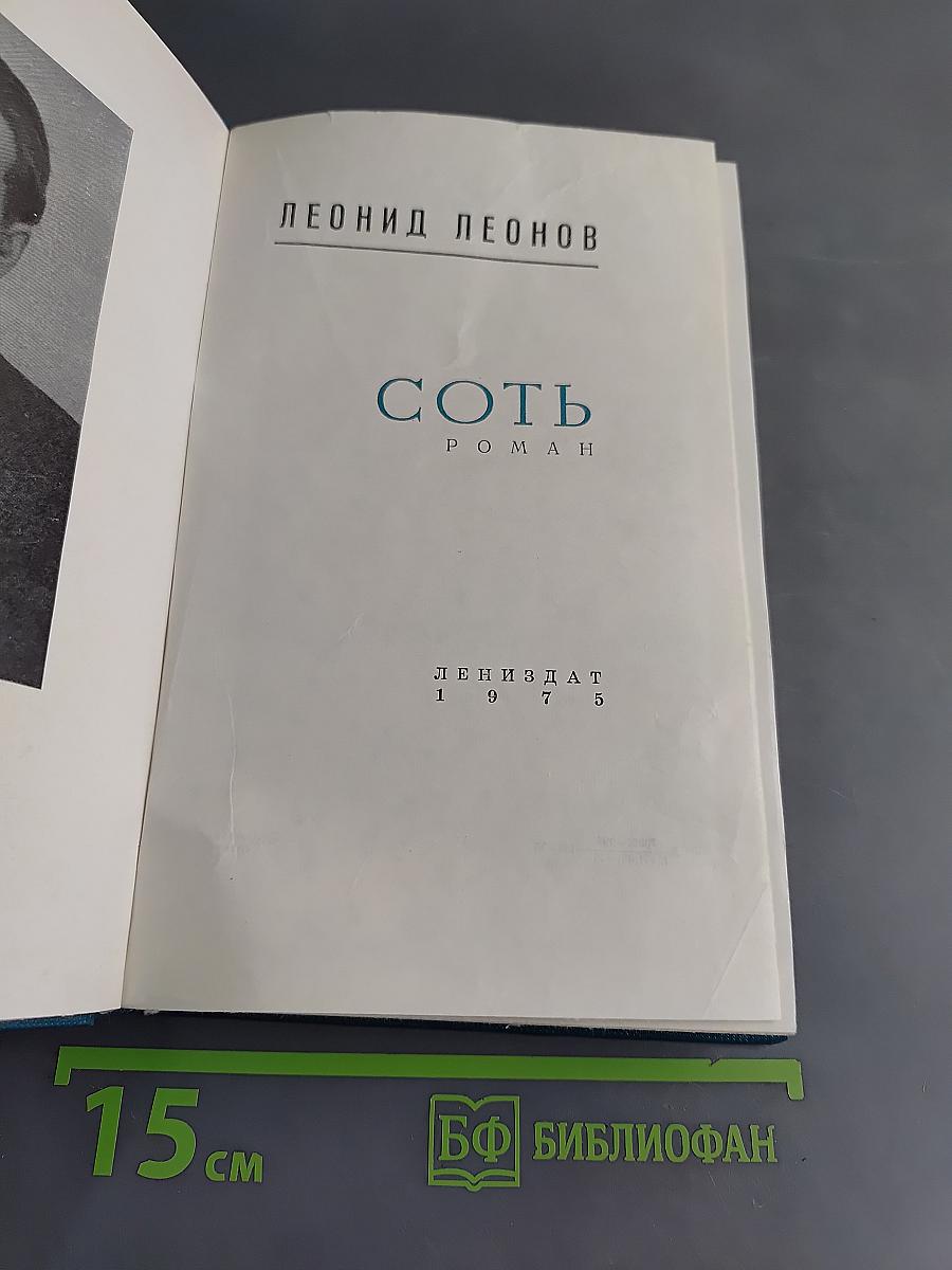 Соть