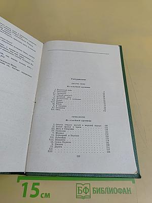 Детство. Тёмы. Гимназисты