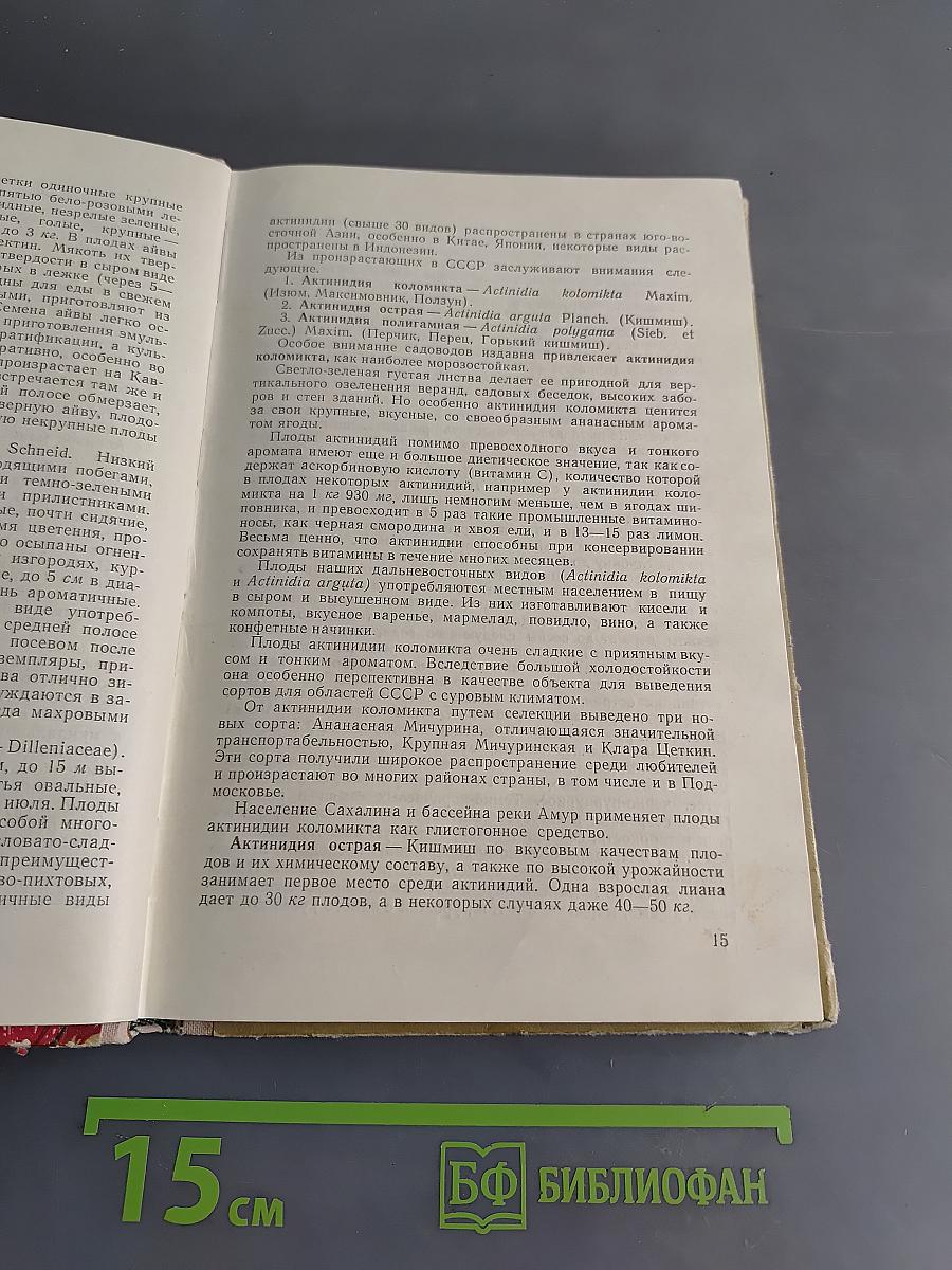 Растения, применяемые в быту
