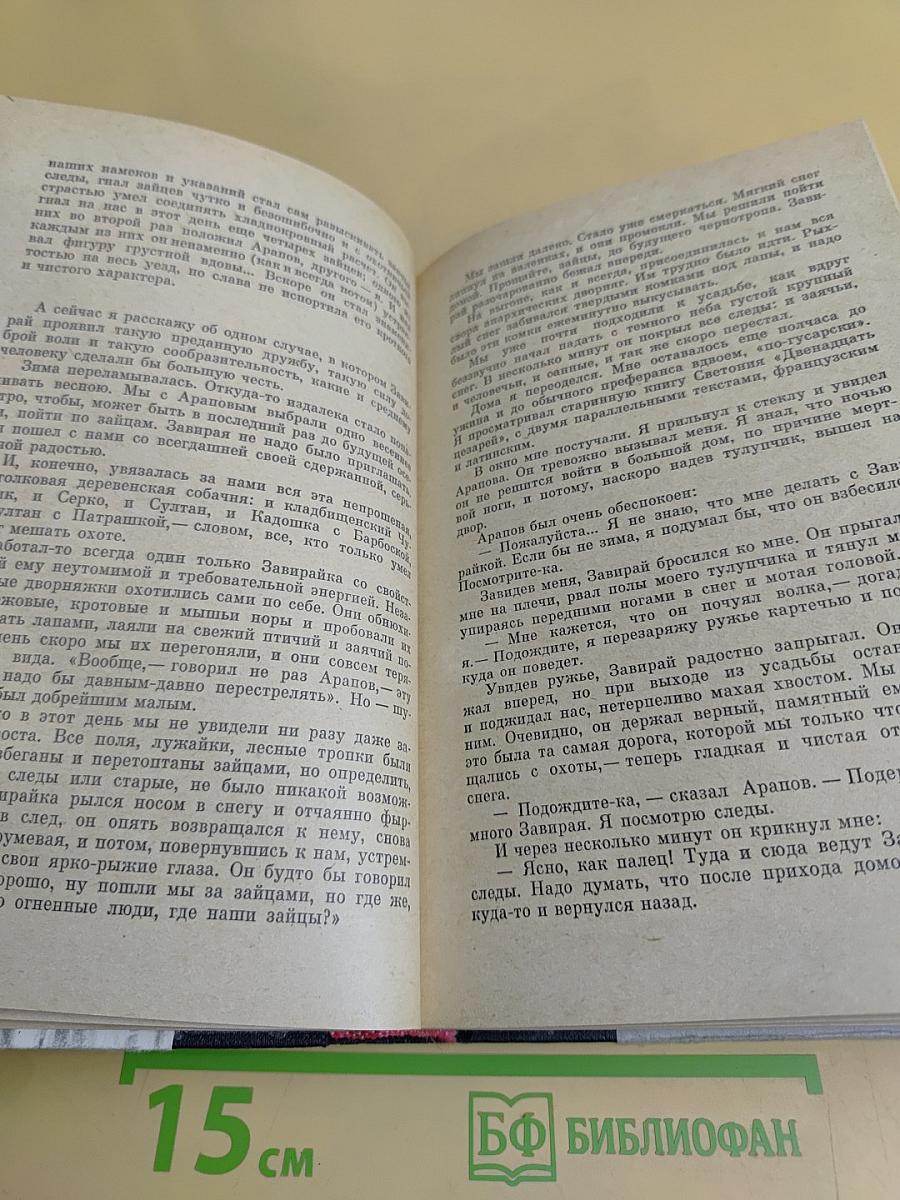 Времена года