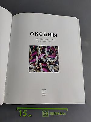 Океаны: энциклопедический путеводитель
