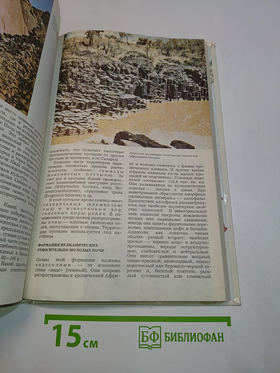 Почвы