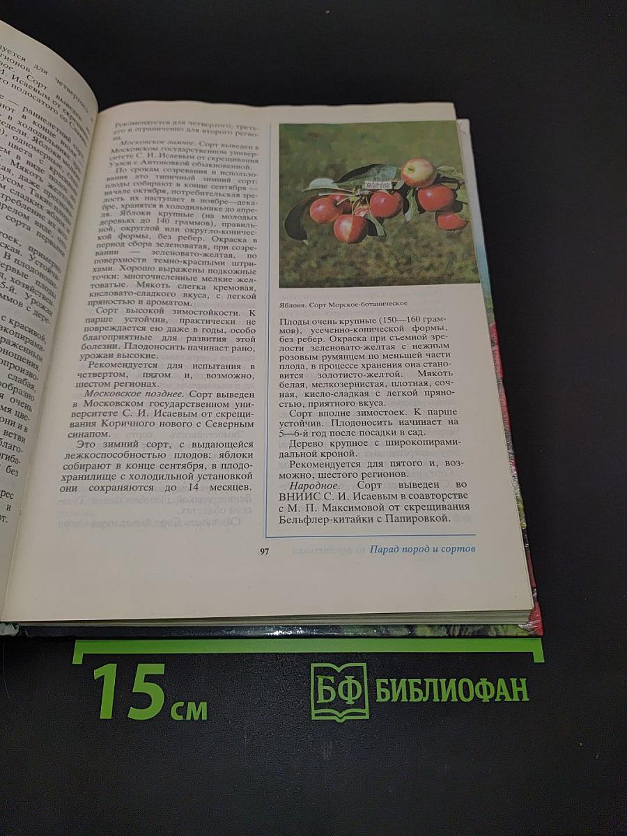 Ваш сад