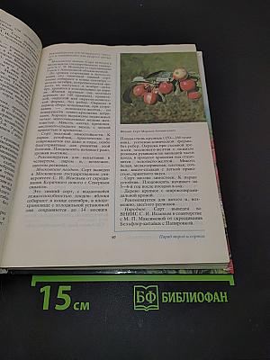 Ваш сад