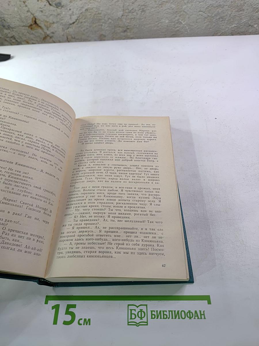 Рукопись, зарытая в саду Эдема