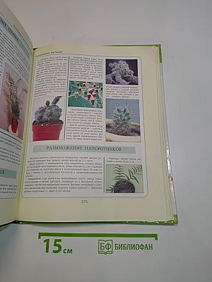Комнатные растения от А до Я