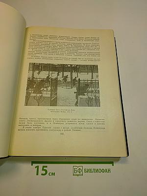 Всемирная история. Том X