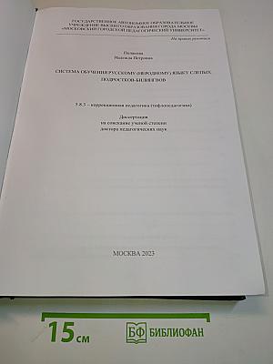 Система обучения русскому (неродному) языку слепых подростков-билингвов