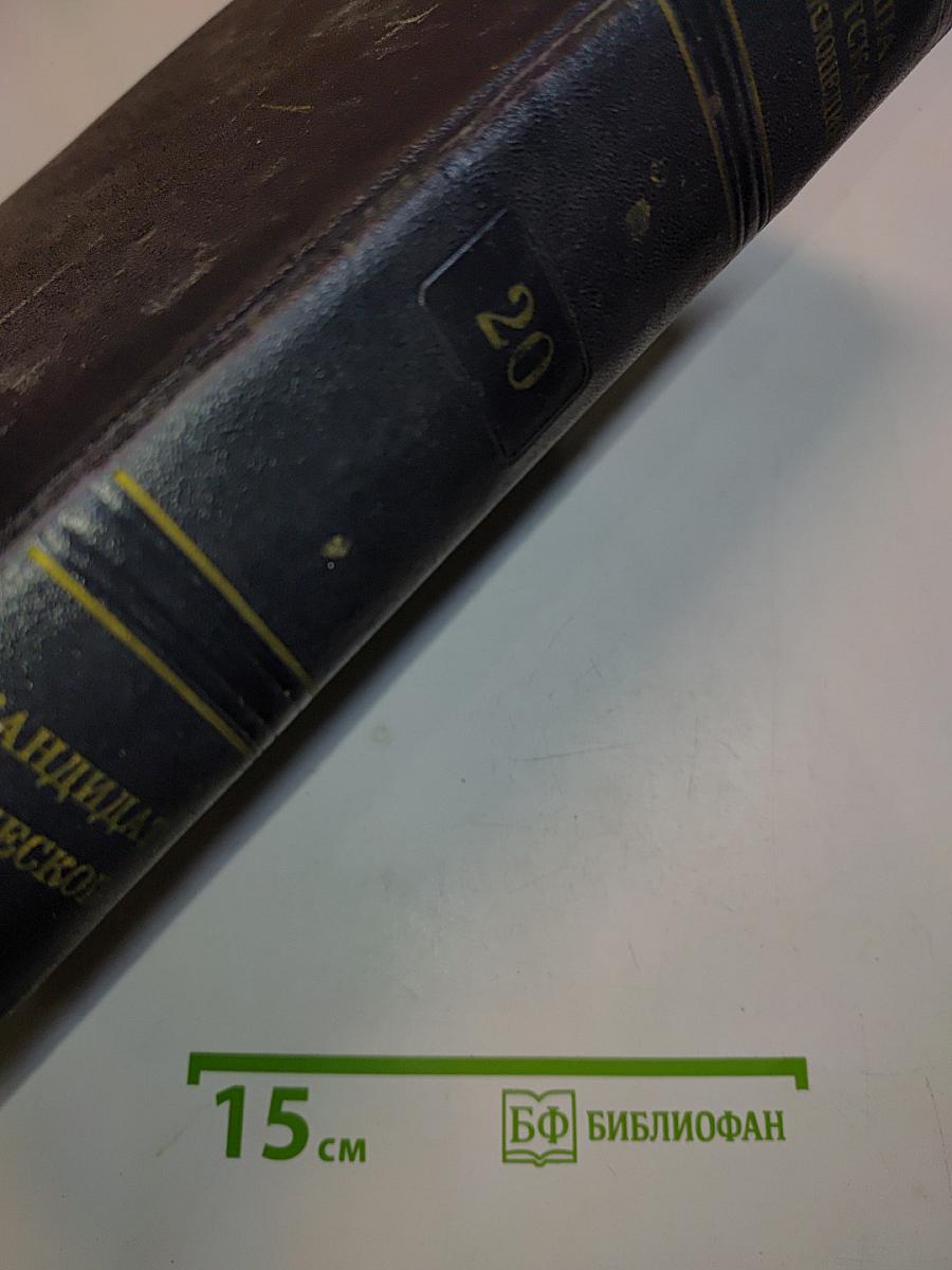 Большая Советская Энциклопедия. Том 20. Кандидат — Кинезис