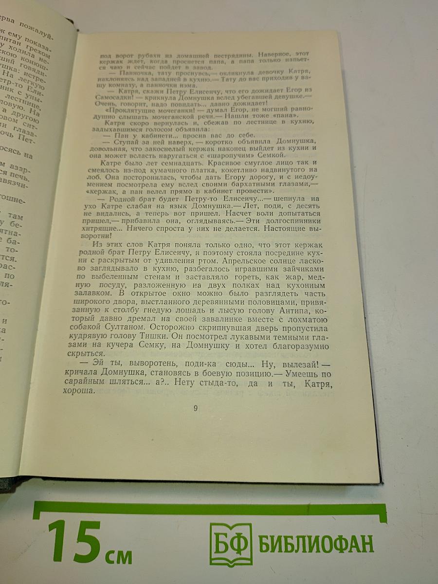 Три конца. Охонины брови