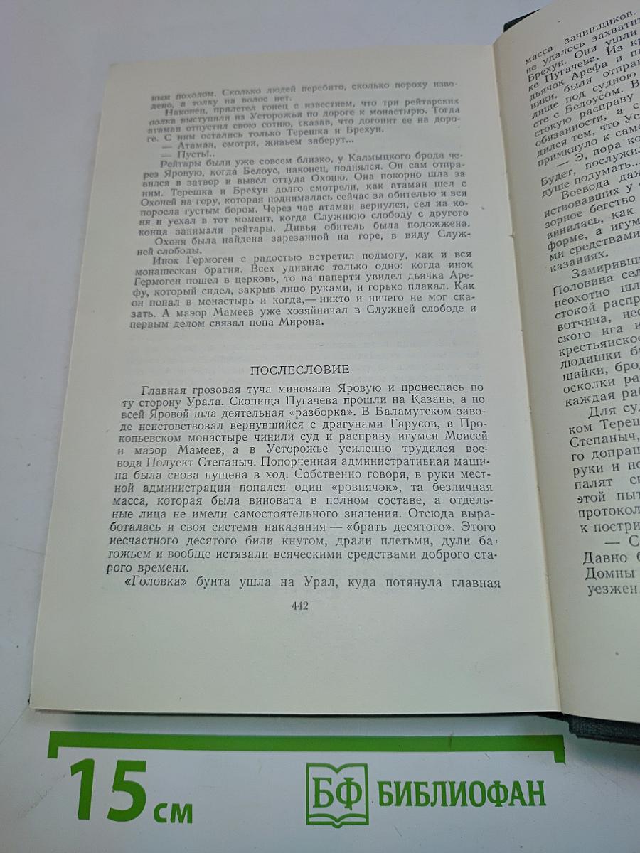 Три конца. Охонины брови