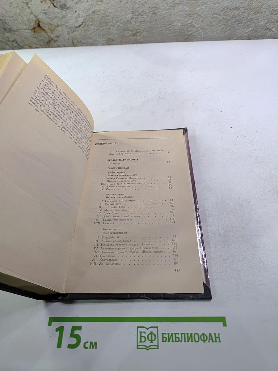 Братья Карамазовы. Том 1