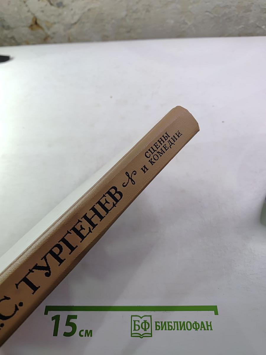 Сцены и комедии