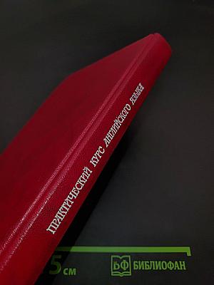 Практический курс английского языка. Американский вариант