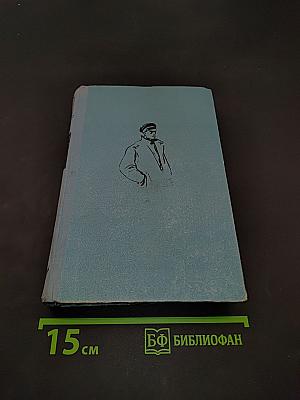 Жестокий воспитатель