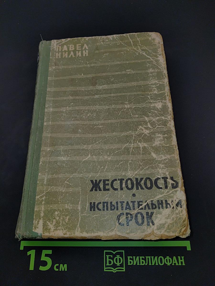 Жестокость. Испытательный срок