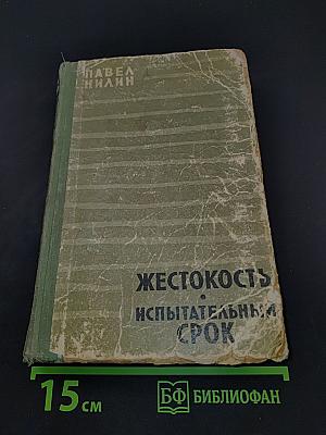 Жестокость. Испытательный срок